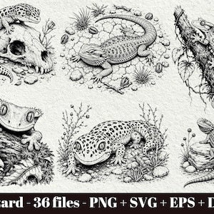 Könnte beinhalten: Eine Sammlung von sechs schwarz-weißen Illustrationen mit verschiedenen Echsen, darunter ein Leopardgecko auf einem Schädel, eine Bartagame auf rissiger Erde, ein Kronengecko auf einem Ast und weitere Reptilien in natürlichen Umgebungen mit Text.