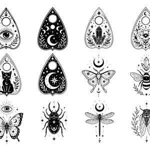 Puede incluir: Una colecci&oacute;n de doce ilustraciones en blanco y negro que presentan seis formas de plancheta con un ojo, fases lunares, cristales, una flor, un gato y una estrella, junto a seis dise&ntilde;os de insectos que incluyen una mariposa, un escarabajo, una lib&eacute;lula y una abeja.