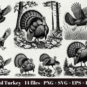 May include: A collection of black and white illustrations featuring wild turkeys in various poses, including flying, standing in forests, and perched on logs. The text at the bottom reads: Wild Turkey - 14 files - PNG + SVG + EPS + DXF.