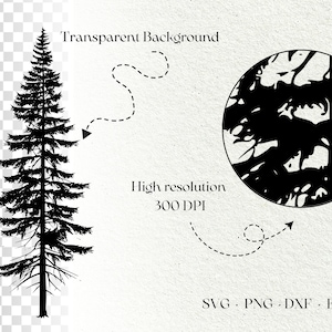 K&ouml;nnte beinhalten: Schwarze Silhouette eines Kiefernbaums vor transparentem Hintergrund. Das Bild enth&auml;lt auch einen Kreis mit einer Silhouette eines Waldes darin. Der Text "Transparent Background", "High resolution 300 DPI" und "SVG - PNG - DXF - EPS" ist im Bild enthalten.