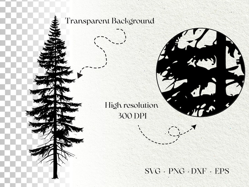 K&ouml;nnte beinhalten: Schwarze Silhouette eines Kiefernbaums vor transparentem Hintergrund. Das Bild enth&auml;lt auch einen Kreis mit einer Silhouette eines Waldes darin. Der Text "Transparent Background", "High resolution 300 DPI" und "SVG - PNG - DXF - EPS" ist im Bild enthalten.
