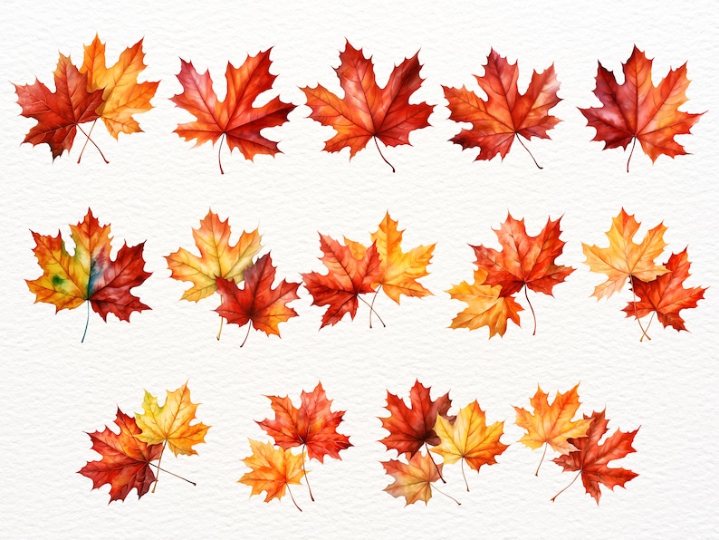 29 Watercolor Fall Leaves Clipart / Autumn Leaves Clipart PNG / Hand ...
