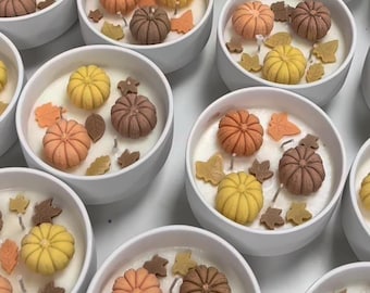 Pumkin Patch 9oz Candle