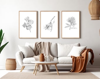 May include: Three black and white botanical illustrations in simple frames, hung on a white wall above a white couch with a brown throw blanket.