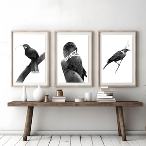 以下が含まれることがあります： 木製のコンソールテーブルに飾られた、3つの額入りの白黒の鳥のプリント。各プリントには、枝や小枝にとまっているさまざまな鳥が描かれています。部屋は、乾燥したパンパスグラスの花瓶やその他の装飾品で飾られています。