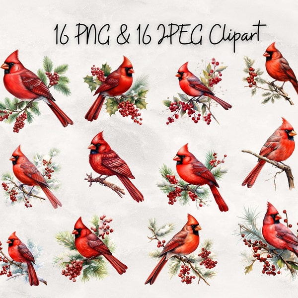 32 Christmas Red Cardinal Clipart, Watercolor clipart, bird clipart, PNG and JPGs, Watercolor, Commercial Use,Digital Download