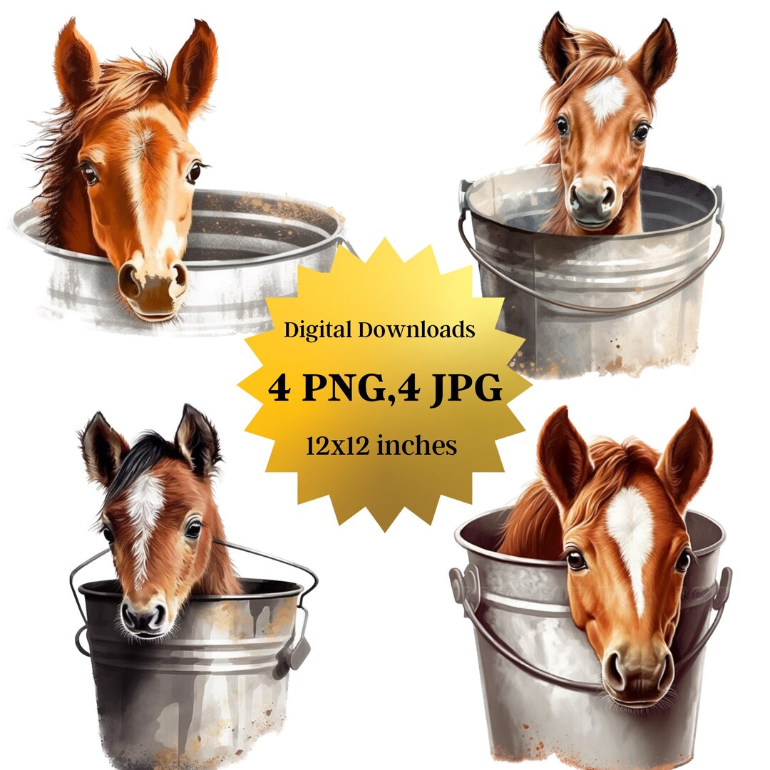 Baby Horse in the Bucket Clipart, PNG & Jpgs, Digital Crafting, Paper ...