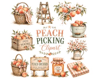 Watercolor Peach Picking Clipart | Rustic Summer Fruit Bundle | Farmhouse Orchard Graphics | Digital Download for Summer Invites & Crafts