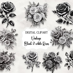 Black and White Roses Digital Clipart Bundle -Vector Illustrations, Printable Graphics, Instant Download, Commercial Use,Paper Craft