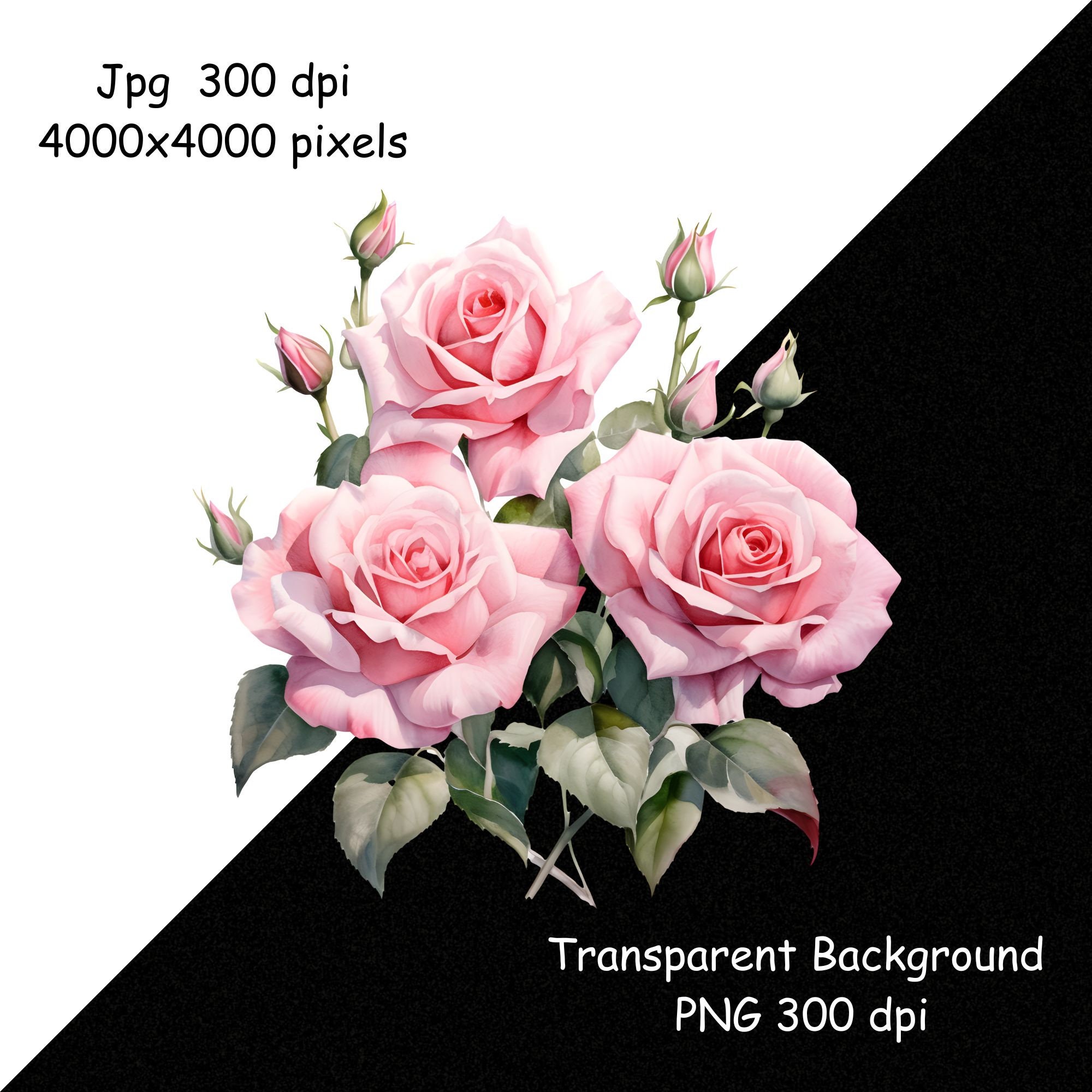 Watercolor Pink Roses Bouquetpng-jpg Floral Clipart Wedding - Etsy