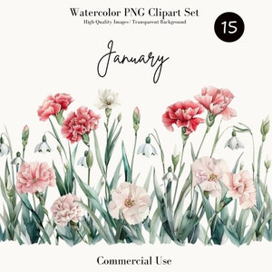 Conjunto de convites com borda floral de cravo em aquarela, clipart de flores de floco de neve de janeiro, uso comercial, download digital, floral de inverno