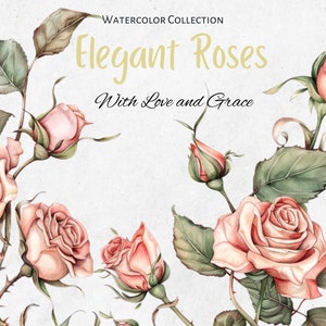 Elegante rozen aquarelcollectie, bruiloft kaart rand clipart, png, bloemdessin, vintage roos illustratie, decor uitnodiging
