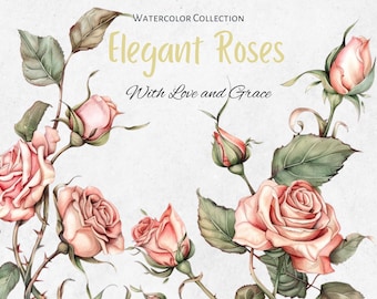 Elegant Roses Watercolor Collection, Wedding Card Border Clipart, PNG, Floral Design Elements, Vintage Rose Illustration, Invitation Decor