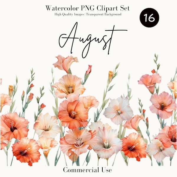 August Gladiolus and Poppy Floral Border , Watercolor Clipart Set, High Quality PNG, Commercial Use, Digital Download, Instant Access