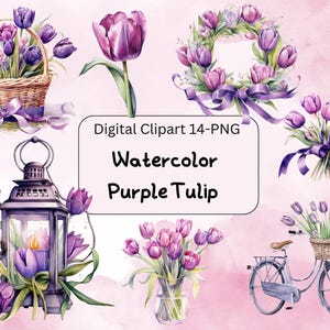 Lila Tulpe Clipart PNG, Aquarell Blumen digitaler Download, Frühlingsblumen, DIY Handwerk, kommerzielle Nutzung, lila Blumen, Körbe