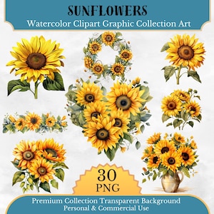 Conjunto de 30, paquete de imágenes prediseñadas de girasoles, girasol de acuarela PNG, arte botánico, creación de tarjetas, diario, manualidades con papel digital, PNG digital