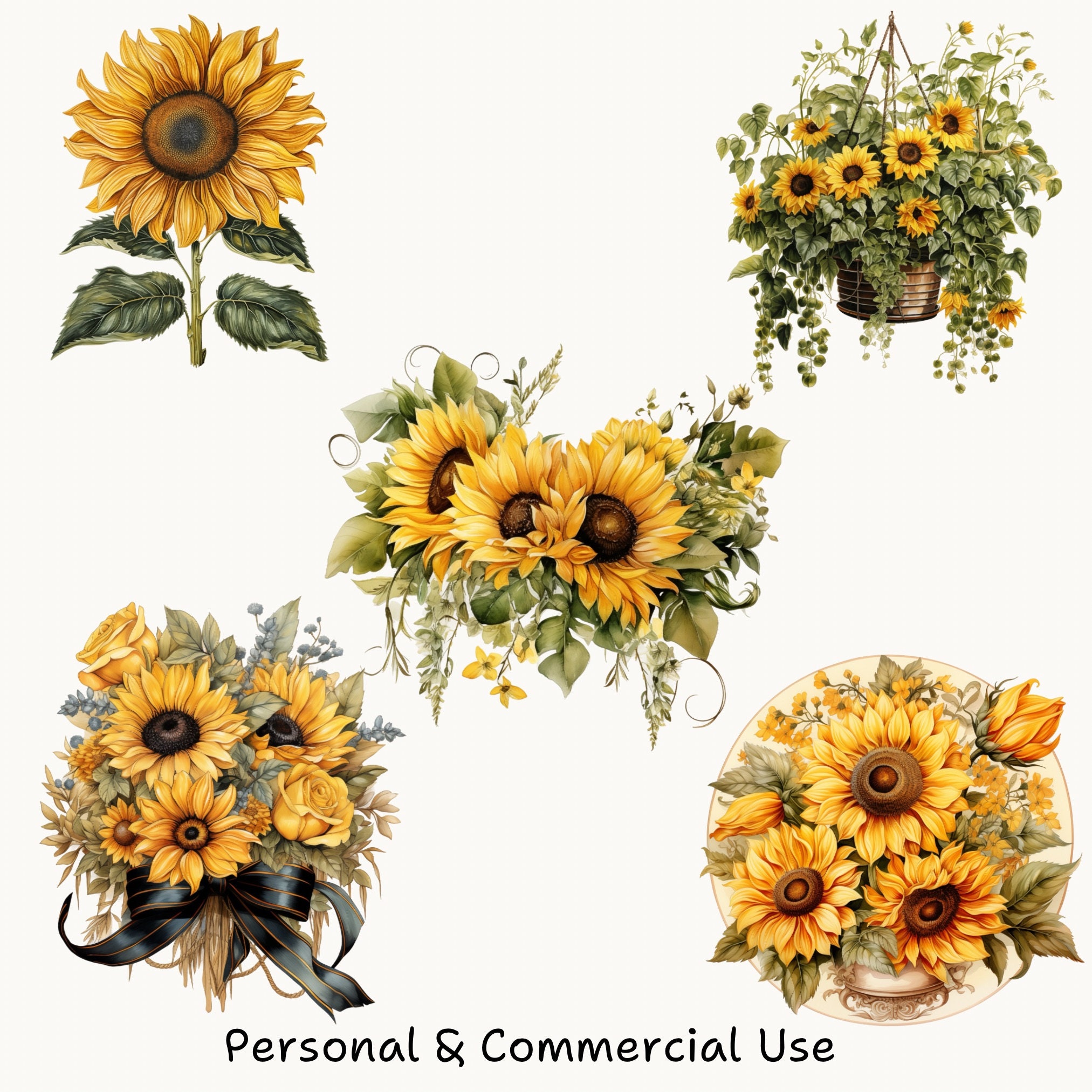 Sunflower Watercolor PNG Clipart Bundle – Digital Download, Floral Art ...