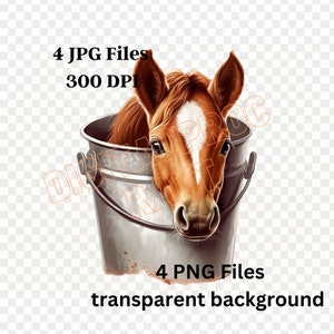 Baby Horse in the Bucket Clipart, PNG & Jpgs, Digital Crafting, Paper ...