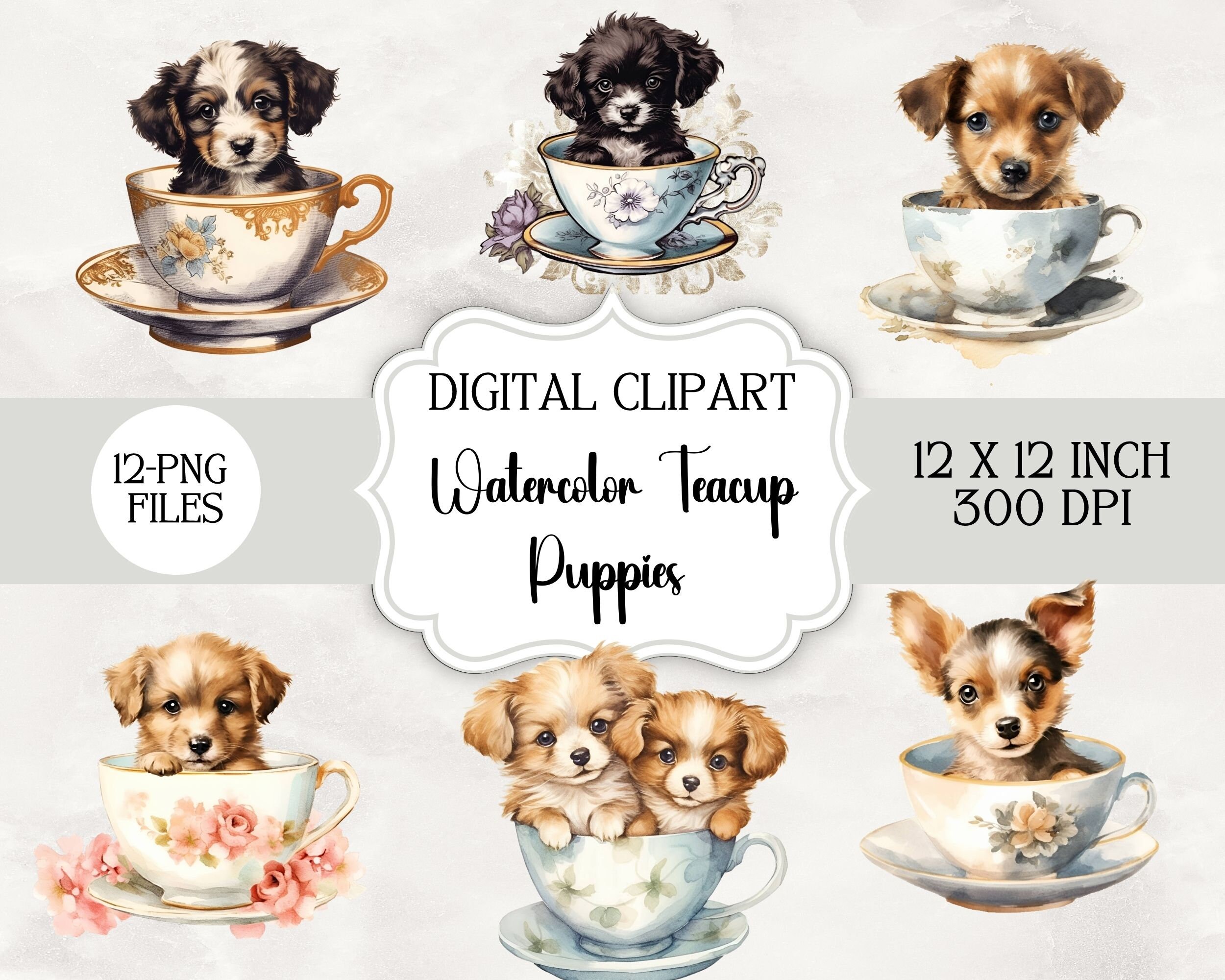 12 Watercolor Vintage Teacup Puppies Clipart Kawaii Dog PNG Etsy