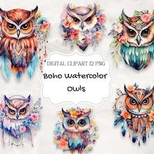 12 Aquarell Boho Eulen Vielseitige Digitale Clipart Grafiken | Hochwertige PNG Designs für Grafikdesigner & Lehrkräfte Sofort-Downloads