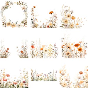 Delicadas flores silvestres Floral Clipart Primavera Flores png Coleção para Borda de Cartão e Design de Camiseta - PNG com Fundo Transparente