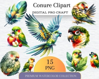 Conure Clipart | Clipart Bundle | 15 PNG Colorful Images | Bird Art | Crafts | Apparel | Digital Prints | Commercial Use| Junk journal