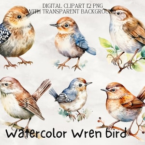 12 Wren bird Clipart, Watercolor clipart, bird clipart, JPGs,Watercolor, Commercial Use,Digital Download, Wall art,Card making,Scrapbooking