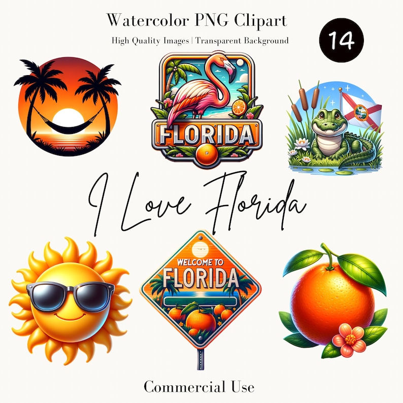 Florida Aquarell Clipart Bundle - Flamingo und Gator Grafiken, Sunshine State Digital Download, Tropische PNG Designs, Florida Clipart Bild 1