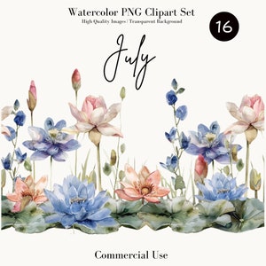 Fleur d'alouette floral de juillet et bordure de nénuphar aquarelle Clipart ensemble, PNG de haute qualité, téléchargement numérique, usage commercial, Illustration botanique