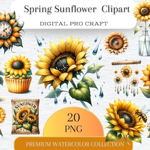 Lot de 20 cliparts tournesols printaniers, aquarelle tournesol PNG, art botanique, fabrication de cartes, tenue d'un journal, créations numériques en papier, PNG numérique