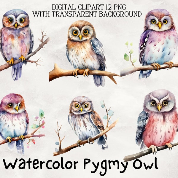 12 Pygmy Owl Clipart Watercolor Bundle - High Quality JPGs and PNGs - Digital Planner, Paper Crafts, Junk Journals, Watercolor Art