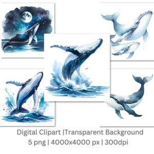 Humpback Whale Clipart | Humpback Whale Clipart Bundle |5 PNG High-Quality Images | Wall Art | Paper Craft | Digital Prints | Commercial Use