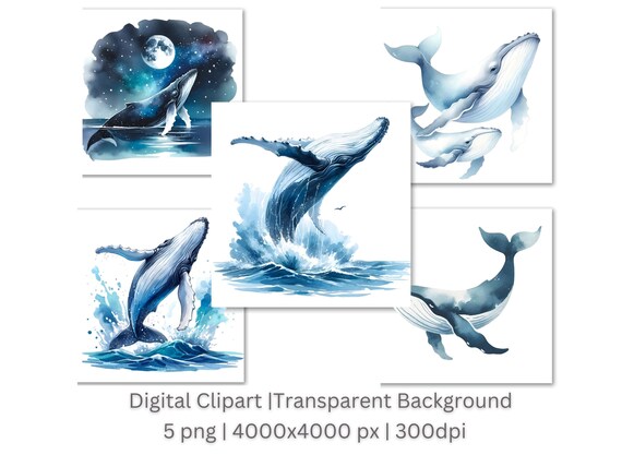 Humpback Whale Clipart | Humpback Whale Clipart Bundle |5 PNG High-Quality Images | Wall Art | Paper Craft | Digital Prints | Commercial Use