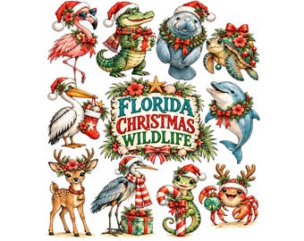 Florida Christmas Wildlife Clipart | Tropical Holiday Animals PNG | Alligator Manatee Flamingo Christmas Graphics | Beachy Holiday Bundle