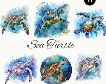 11 Sea Turtle Clipart Set, Marine Turtle Printable Watercolor, High Quality PNG Digital Downloads for Paper Craft and Junk Journal