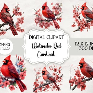 Cardinal rouge Clipart, 12 PNG haute qualité, Art pour chambre d'enfant, téléchargement numérique | Fabrication de cartes, clipart oiseau mignon, création numérique en papier