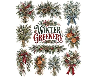 Winter Greenery Clipart Bundle | Christmas Pine & Berry PNG | Rustic Holiday Botanicals for Invitations, Sublimation, Digital Crafting