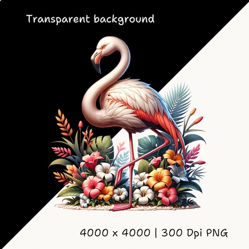 K&ouml;nnte beinhalten: Eine digitale Illustration eines Flamingos mit rosa und wei&szlig;en Federn, der inmitten farbenfroher tropischer Blumen und Bl&auml;tter steht. Der Hintergrund ist diagonal geteilt, mit Schwarz auf der einen und Wei&szlig; auf der anderen Seite. Der Text oben lautet "Transparent background".