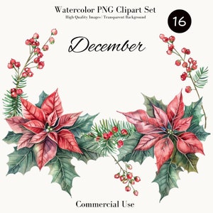 Bordure aquarelle de poinsettia houx, faire-part de mariage de Noël, clipart floral, conception de cartes de fête, usage commercial, ensemble PNG
