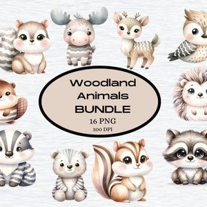 Woodland Creatures clipart, schattige bosdieren clipart, babydieren, Woodland baby shower clipart, Woodland kwekerij, boho forest dieren