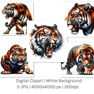 Angry Tiger Clipart / 5 JPG Imágenes de alta calidad / Arte de vida silvestre / Ilustraciones de tigres feroces / Impresiones digitales / Uso comercial
