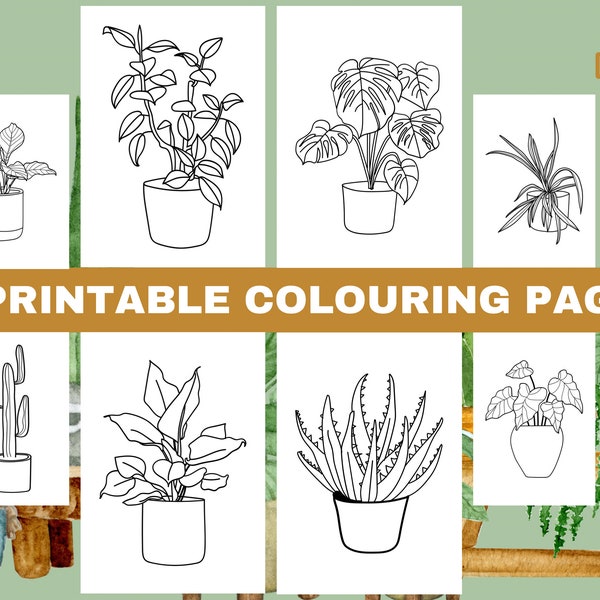 20 Pot Plant Cactus Minimalist Colouring Pages For Adults, Boho Simple Succulent Coloring Book Page for Adult Instant Download Printable PDF