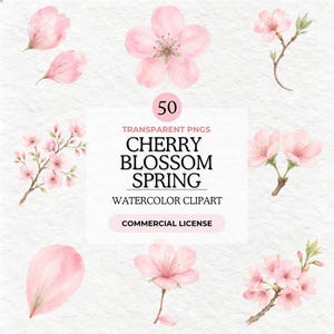 May include: Watercolor clipart featuring pink cherry blossoms and petals. The image includes individual flowers, sprigs, and loose petals. Text on the image reads "50 Transparent PNGs Cherry Blossom Spring Watercolor Clipart Commercial License."