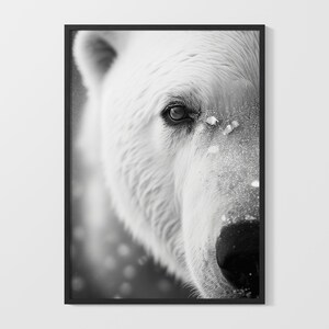 Polar Bear Portrait | Printable Wall Art | Digital Download | Wall Poster | Black and White Film Photography | Wildlife Photography