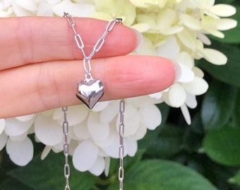 May include: A silver chain necklace with a small, silver heart pendant.