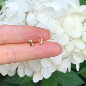 May include: A pair of gold bar stud earrings. The earrings are small and simple, and they are perfect for everyday wear.