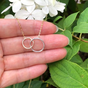May include: A delicate necklace featuring two interlocking circles, one gold-toned and the other silver-toned, suspended from a fine chain. The necklace is displayed against a backdrop of green foliage and white flowers, creating a natural and elegant aesthetic.