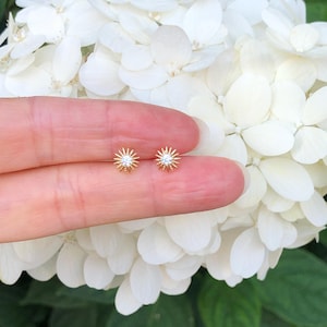 May include: A pair of gold-colored stud earrings. Each earring features a sunburst design with a small, clear gemstone in the center. The earrings are displayed against a backdrop of white flowers.