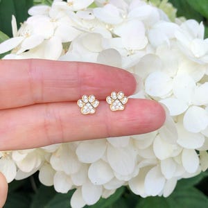 May include: A pair of gold paw print earrings with clear cubic zirconia stones.
