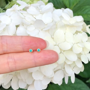 May include: A pair of small gold earrings with turquoise stones. The earrings are shown on a finger against a background of white hydrangea flowers.
